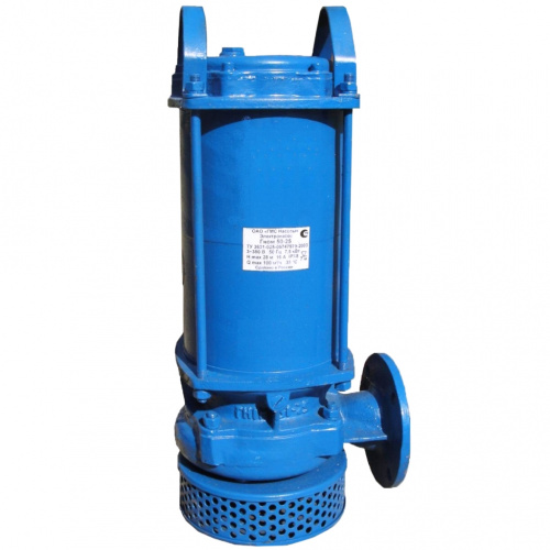 Насос 1Гном 6-10, 220 В