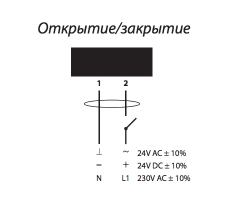 о_с.jpg о_с.jpg