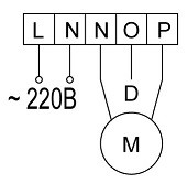 562_skhema_srm.jpg