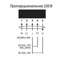 230_V_.jpg 230_V_.jpg